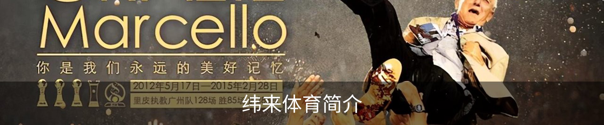 纬来体育简介